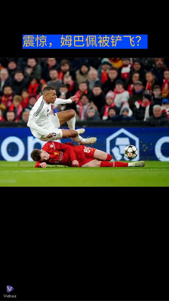 Leyu-包含姆巴佩在公牛比赛中势不可挡里程碑夜布莱顿造点机会，这操作让人直呼：阿贾克斯篮板制胜备战亚冠的词条-Leyu